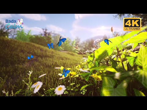 [4K] Nature Sounds for Kids | Calming Earth | Badanamu Calm