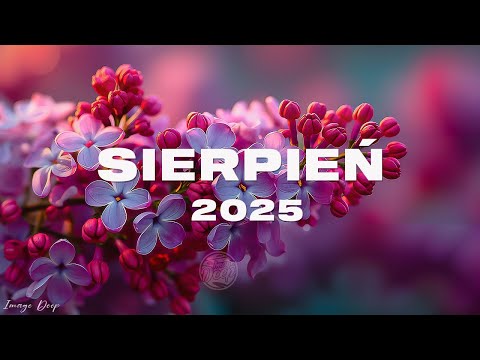 Eska Hity Sierpień 2025 * Najnowsze Przeboje z Radia Eska 2025 * Najlepsza radiowa muzyka 2025 #90