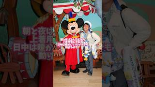 5 things you should know about Tokyo Disney Resort in April 2025! #Shorts #TokyoDisneyResort