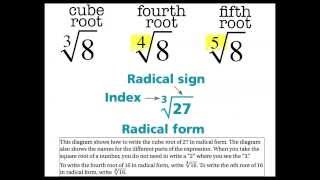 matematika 8: Akar