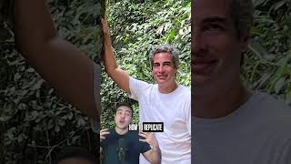 Can 15m² cool your entire city? Pocket Forests say yes!