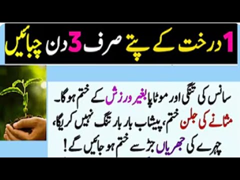 Best Urdu Quotes | Quotes About Life | Sunhray Haroof | Golden Words | Rumi Quotes Urdu | Urdu Aqwal