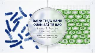 Biology 10 – Lesson 9: Cell Observation Practice