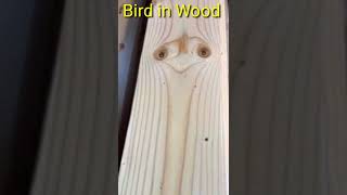 #india #indian #indianyoutuber #indianwoodwork #indiannature #indianbirds #indianvlogger #youtube