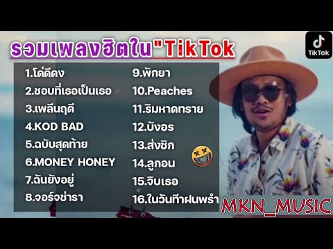 รวมเพลงฮิตในTikTokล่าสุด รวมเพลงฮิตในแอพติ๊กต๊อกล่าสุด | โด่ดิดง ละดิโด้ดิดง