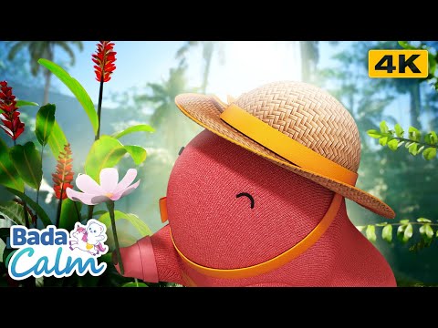 [4K] Focus Meditation for Kids | Steady Focus | Badanamu Calm