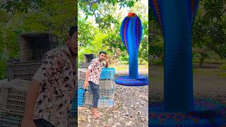Anaconda snake in real life P153#shorts #short #snake #nagin #python #anaconda #snakes #bigsnake