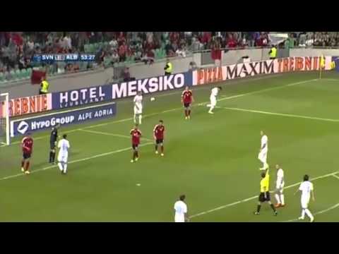 Handanovic vs. Albania | FIFA World Cup Qualifiers 2014