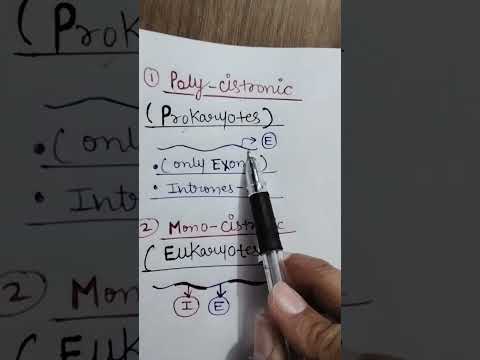 Polycistronic or Monocistronic genes🤔 #tricks #ytshorts #neettrickstolearn