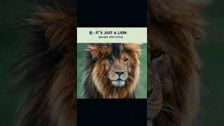 Live  like a king a d dies like a king..(scarface)