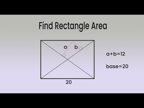Find Rectangle Area.