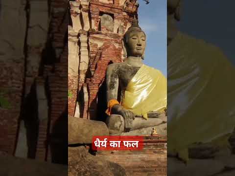 धैर्य का फल 🪔🪔🪔💯💯💯#shorts #short #shortvideo #mahatmabuddha#viralvideo #facts