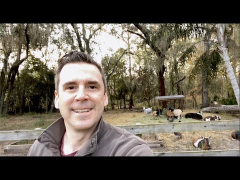 Welcome To Novella Farm