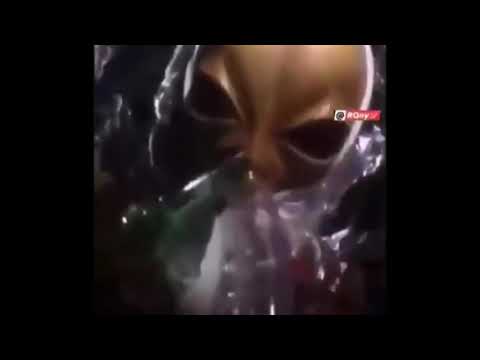Alien meme song patlamaya devam OFFICIAL