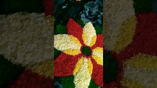 8th day of onam ✨✨pooradam#onam #pooradam #trendingshorts #pookalam