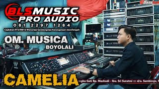 CAMELIA | BLS MUSIC PRO AUDIO BERSAMA OM. MUSICA BOYOLALI