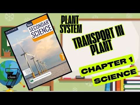 🌿 Class 7 Science Lecture 1 😲 Transport in Plants SECRETS Revealed! | Ch 1 Plant Systems Explained