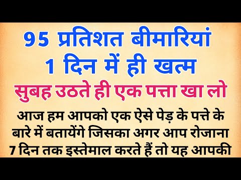 ये 1 पत्ता आपकी 95% बीमारियां ठीक करेगा | अगर सुबह उठते ही एक पत्ता खा लो | shikshaprd | prernadayak