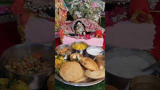 Meera  bhakti Radhe Radhe l. 🕉♥️🙏 #radharani #harekrishna
