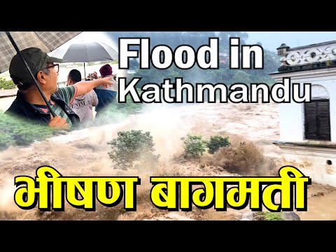 डुबानमा काठमाण्डौ । बाग्मतीको बितण्डा Floods in Kathmandu