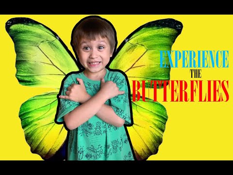OUR BUTTERFLY EXPERIENCE|A BUTTERFLY LANDED ON ME!|VLOG EXPERIENCE WITH US|VLOG TIME