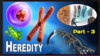 #heredityandevolutionclass10 | #biology | #bobjikaruna |#dscbiology | #cbseboard |#cbse | part 3