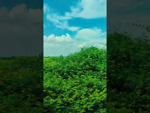 Chennai to Kolkata in train travel  amazing  | train travel 🧳#train #river  #Kolkata