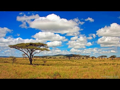 Uncovering Africa's Allure: 10 Must-See Destinations Finally Revealed