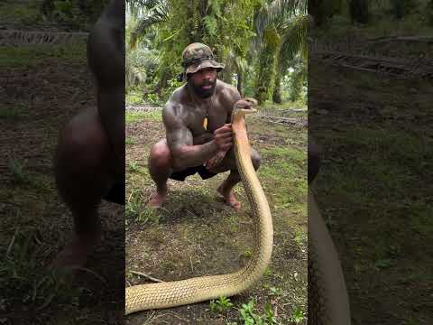 What would you do in this situation 🤣 Wrong answers only 🐍 The greatest cameraman of all time