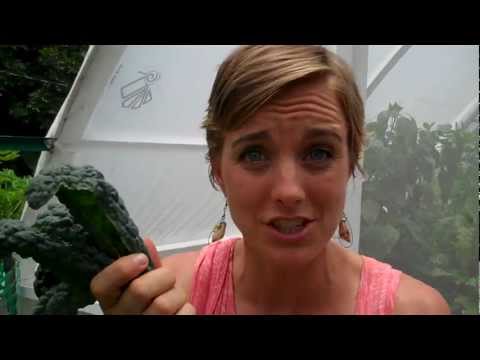 Benefits of Your Own Home Garden