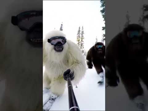 Skiing with Bigfoot #shorts