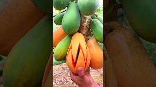 Enjoy the process of cutting fruit then eating 🥭🍓🍉🍈🍊🍇🍎#shorts #nature #fruit