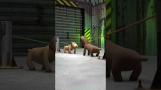 POV: How Dogs Fight