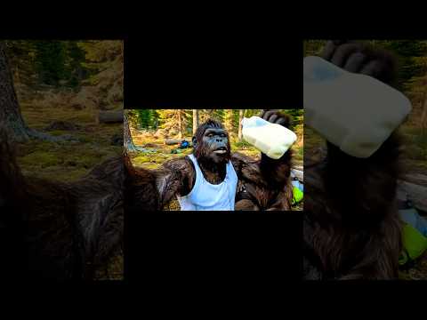 Bigfoot tries the Carolina Reaper Chilli #bigfoot #veo3 #bigfootvlog #funny #ai #vlog