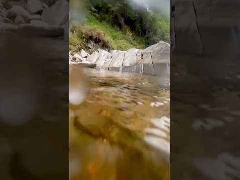 3 years ago we found this pile of gold 😬 #goldpanning #goldprospecting #goldrush