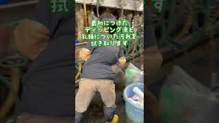 成田ゆめ牧場の搾乳手順！ #shorts