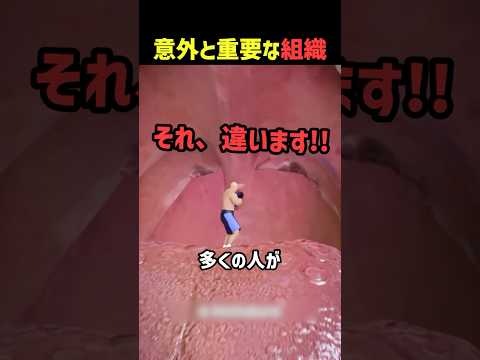 口蓋垂の役割