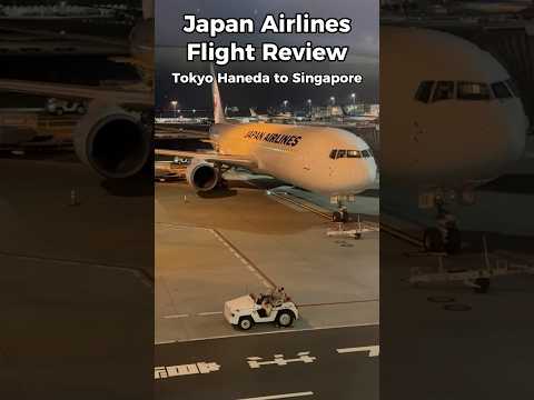 Japan Airlines flight from Tokyo to Singapore #travel #flight #tokyo #japan