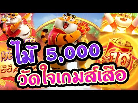 สล็อตpg เกมส์ Fortune Tiger ไม้ 5,000 วัดใจเกมส์เสือ