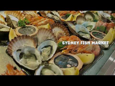 Sydney Harbour and Blue Mountains National Parks - Australia