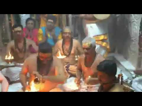 Live Darshan | Aarti Pooja | Seven Rishi Pooja Aarti to Kashi Vishwanath. | Vishnu Shiva Datta