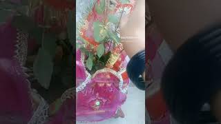 tulsi vivah #tulsivivah #tulsipuja #devuthiekadashi #devuthniekadashi #kartikmass #devuthi