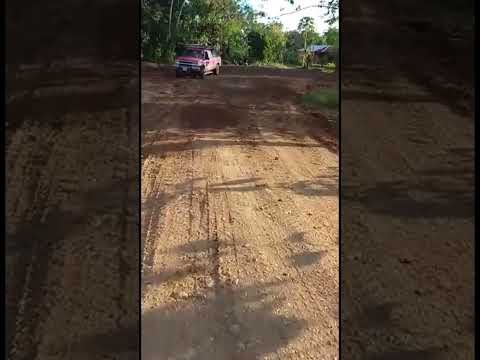 New road leading to the house #containerhome #CostaRica #Quepos #dominical #tinyhouse