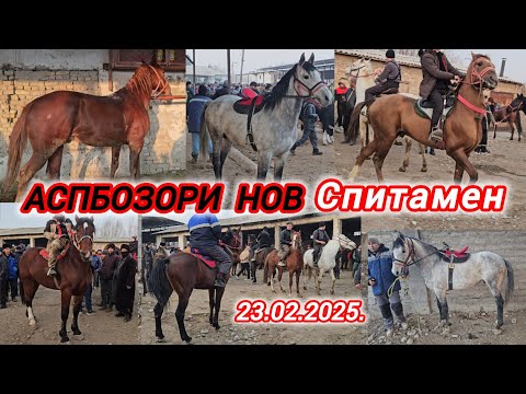 Асп🏇 БОЗОРИ ХУДЧАНД СПИТОМЕН НОВ АСПХОИ БУЗИ ТОЙ БАЙТАЛ