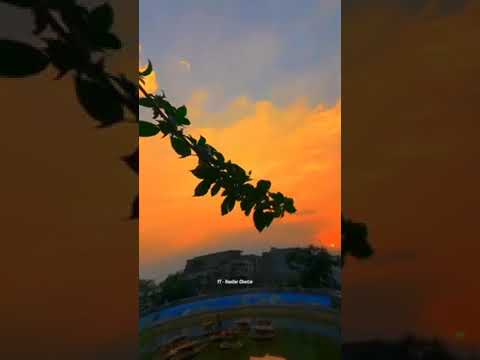 Nature # shorts #subscribetomychannel #myown
