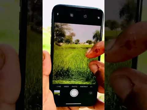 I phone x camera test #shortvideoviral #shortvideo #viral #iphone