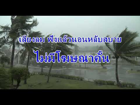 ฟังเสียงลมพัด ฟังก่อนนอนหลับภายใน 10 นาที ไม่มีโฆษณาคั้น