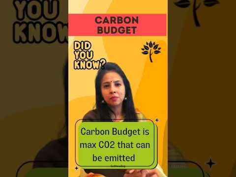 Carbon Budget explained in 60 seconds !