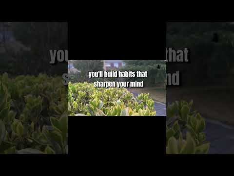 RESET LIFE IN 6 MONTHS|| DAILY DOSE BY JIM ROHN
