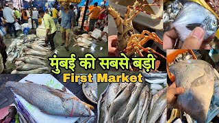 Mumbai's Cheapest Fish Market 2023 | Cst Fish Market | Biggest Wholesale Fish Market Mumbai